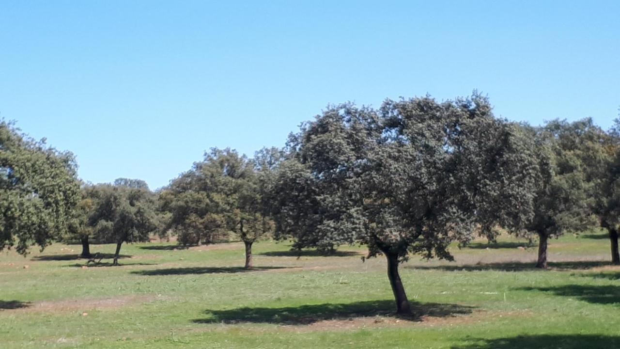 Holiday home Maria Vilches